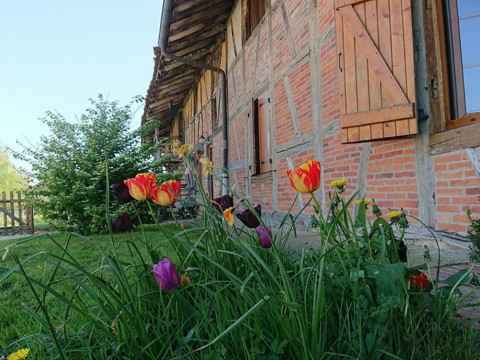 A La Poularde B&B Curciat-Dongalon Pokoj fotografie
